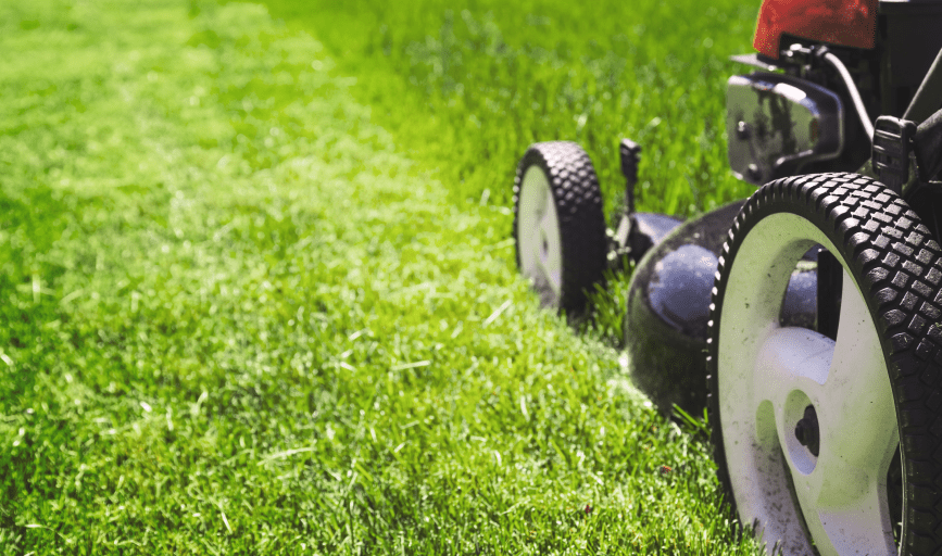 LAWN CARE